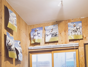 The Collective Dream #1 - #6